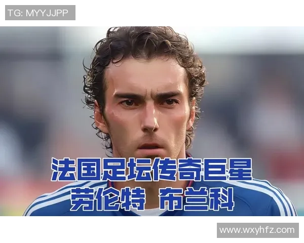 法国足球魅力球星排行榜揭秘谁是最受欢迎的法国足球巨星