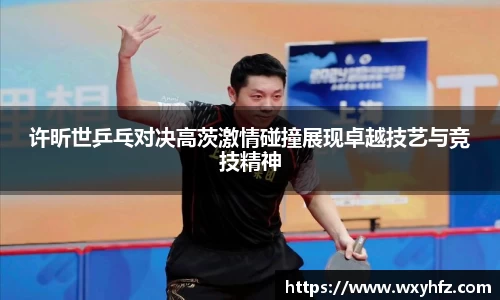 许昕世乒乓对决高茨激情碰撞展现卓越技艺与竞技精神